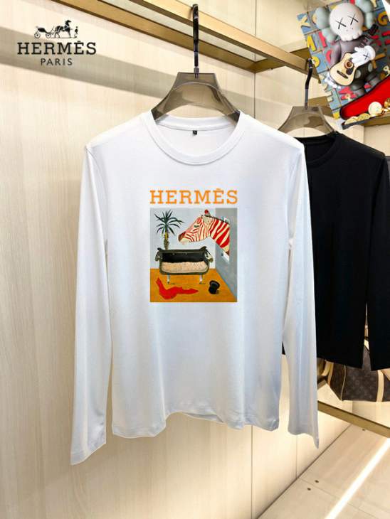 Picture of Hermes T Shirt Long _SKUHermesS-4XL25tr2551254